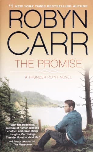Cover image for The promise