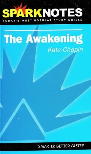 Cover image for The Awakening