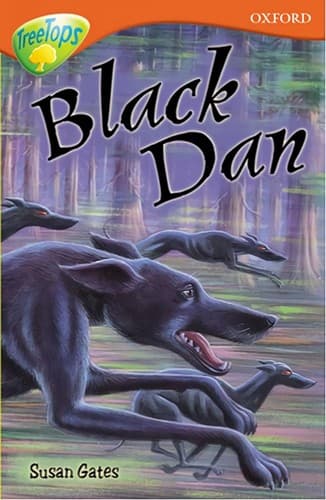 Cover image for Black Dan