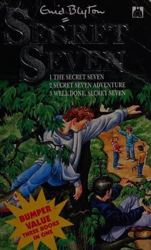 Cover image for The Secret Seven