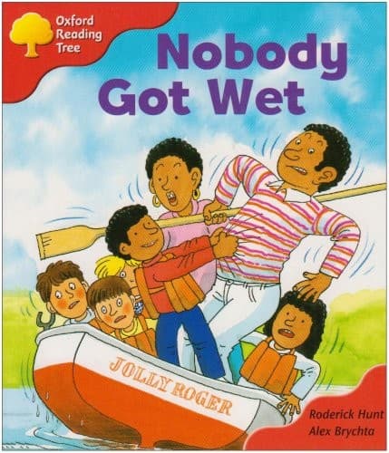 Cover image for Nobody got wet
