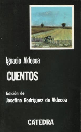 Cover image for Cuentos
