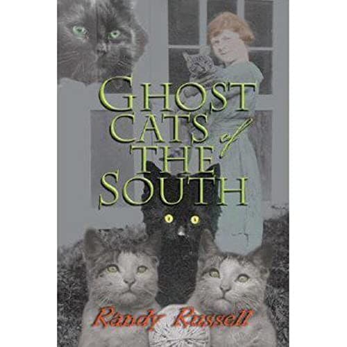 Cover image for Ghost cats of the south