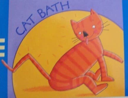 Cover image for Cat Bath