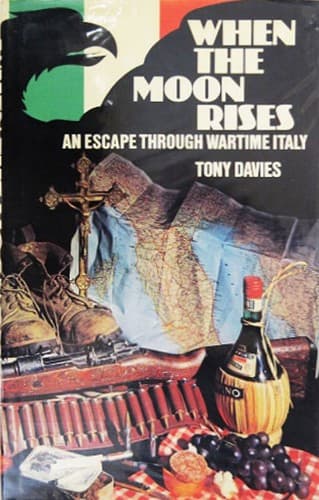 Cover image for When the moon rises