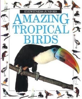Cover image for Amazing Tropical Birds (Eyewitness Juniors)