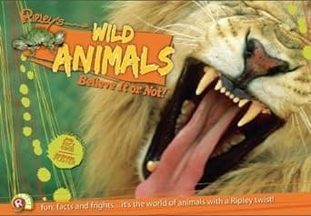 Cover image for Wild animals