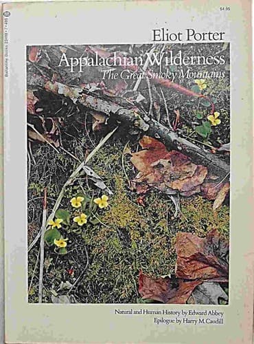 Cover image for Appalachian wilderness