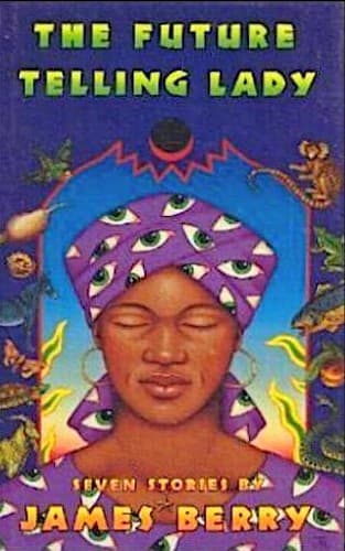 Cover image for The future-telling lady
