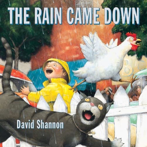 Cover image for The rain came down