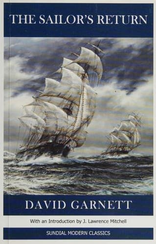 Cover image for The sailor's return
