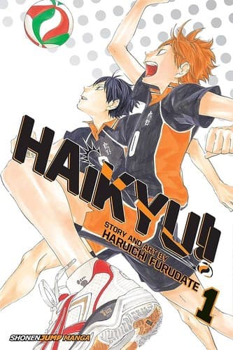 Cover image for Haikyu!!