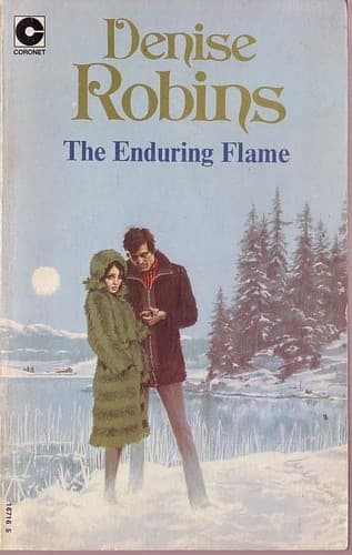 Cover image for The enduring flame