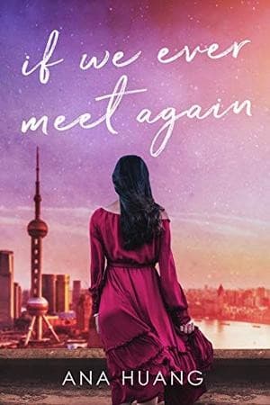 Cover image for If We Ever Meet Again