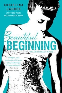 Cover image for Beautiful Beginning