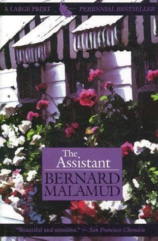Cover image for The assistant