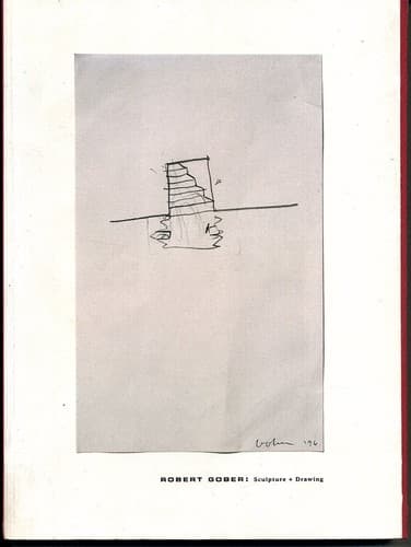 Cover image for Robert Gober