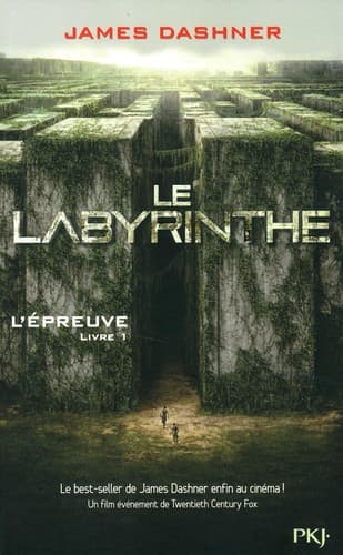 Cover image for Le Labyrinthe