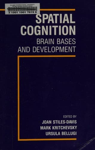 Cover image for Spatial cognition