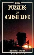 Cover image for The puzzles of Amish life