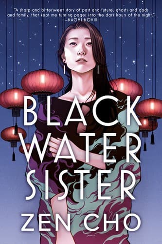 Cover image for Black Water Sister