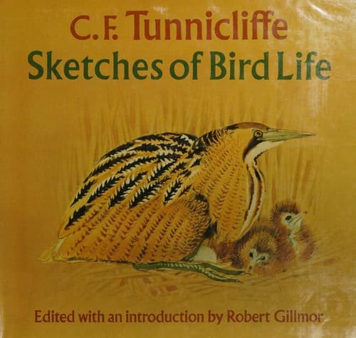 Cover image for Sketches of bird life