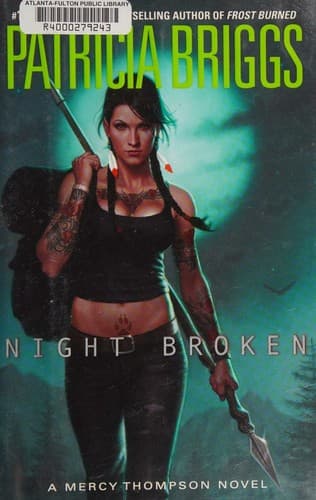Cover image for Night broken