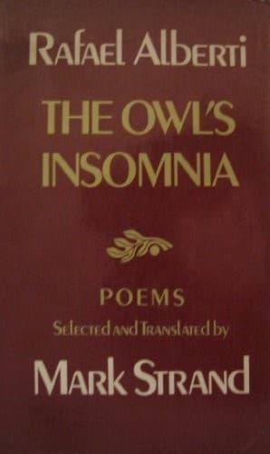 Cover image for The owl's insomnia