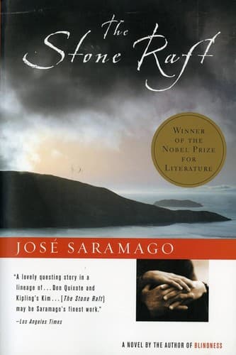 Cover image for The stone raft