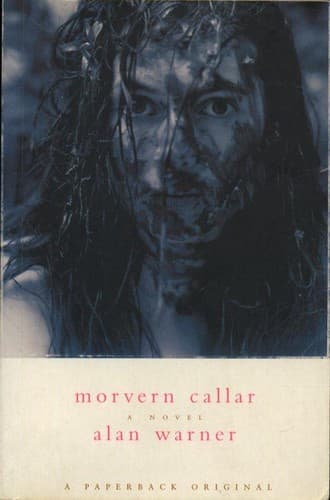 Cover image for Morvern Callar