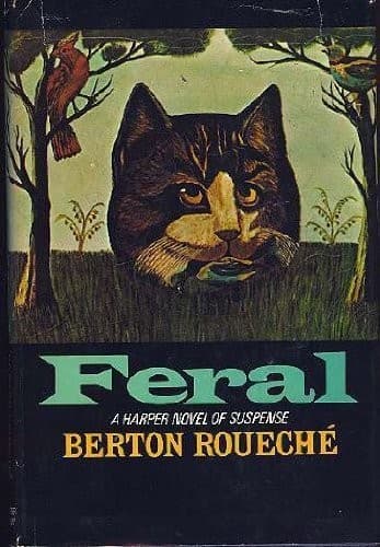 Cover image for Feral