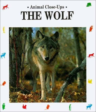 Cover image for The Wolf