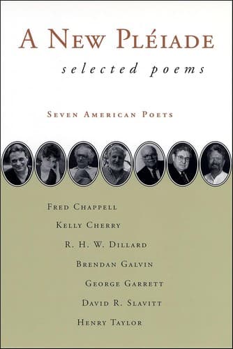 Cover image for A new pléiade