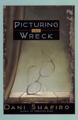 Cover image for Picturing the wreck