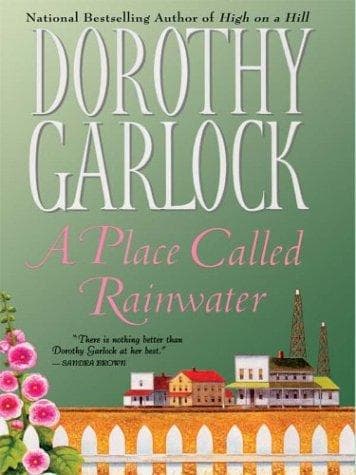 Cover image for A place called Rainwater