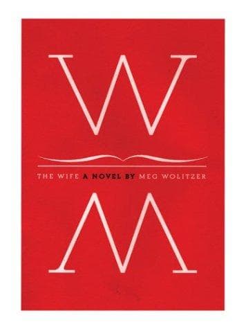 Cover image for The wife