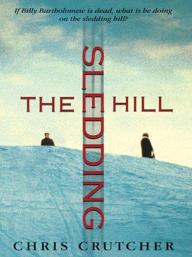 Cover image for The sledding hill