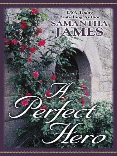 Cover image for A Perfect Hero