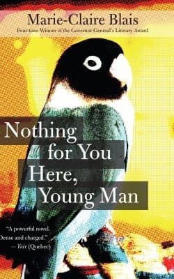 Cover image for Nothing for you here, young man