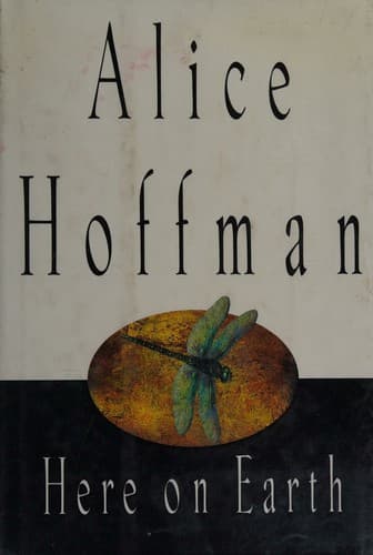 Cover image for Here on Earth