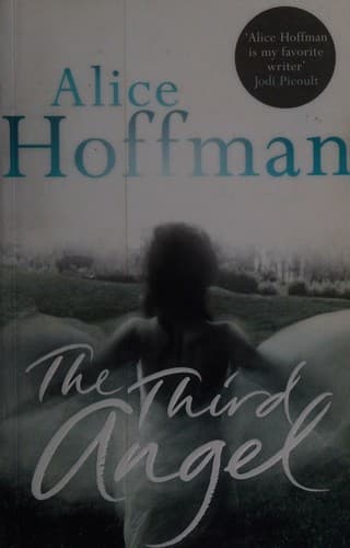 Cover image for The Third Angel