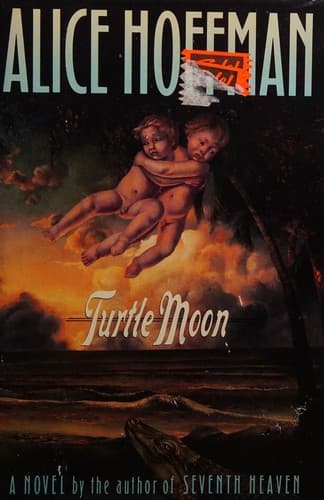 Cover image for Turtle moon