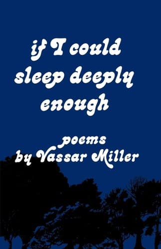 Cover image for If I Could Sleep Deeply Enough