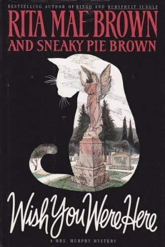 Cover image for Wish you were here