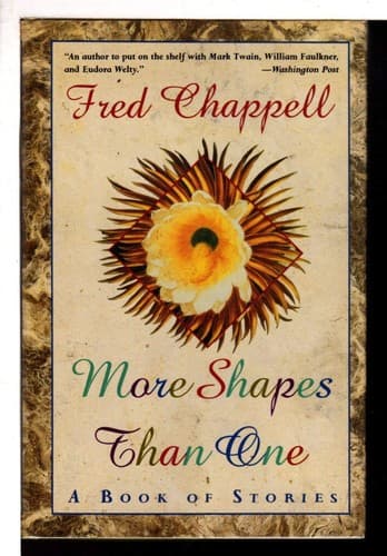 Cover image for More shapes than one