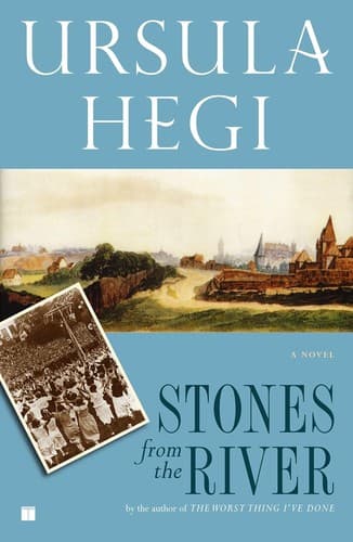 Cover image for Stones from the river