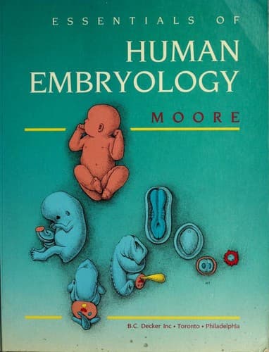 Cover image for Essentials of human embryology