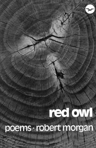 Cover image for Red owl