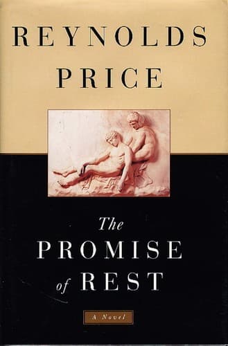 Cover image for The promise of rest