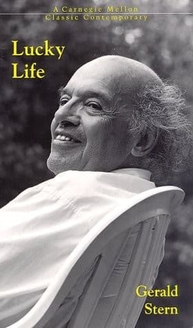 Cover image for Lucky life